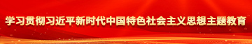 操外国女人阴道的视频学习贯彻习近平新时代中国特色社会主义思想主题教育